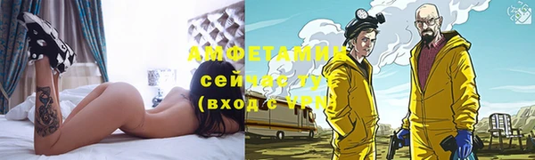 ешки Аркадак