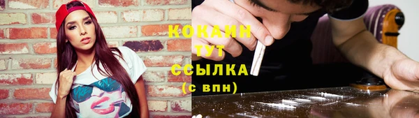 ешки Аркадак