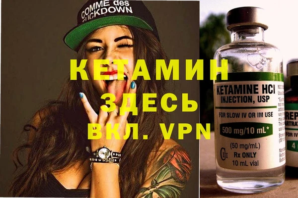 ешки Аркадак