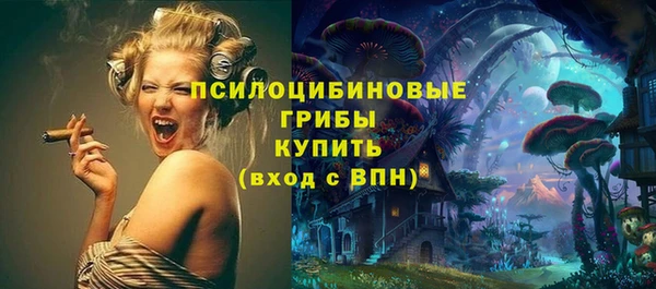 ешки Аркадак